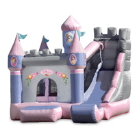 princess castle slider
