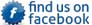 Detailed Play on Facebook